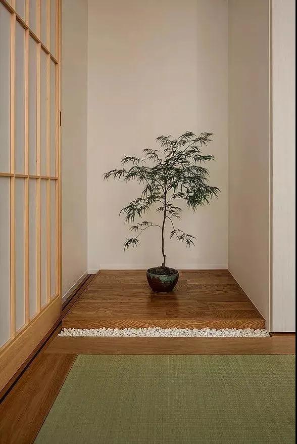室內軟裝軟件.jpg